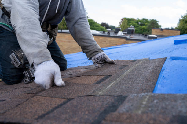 Quick and Trustworthy Emergency Roof Repair Services in Winchester, CA